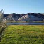 RN-2025-01-24T122040.738