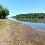 WhatsApp Image 2025-12-16 at 13.32.36 (1)