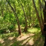 WhatsApp Image 2025-12-16 at 13.32.36